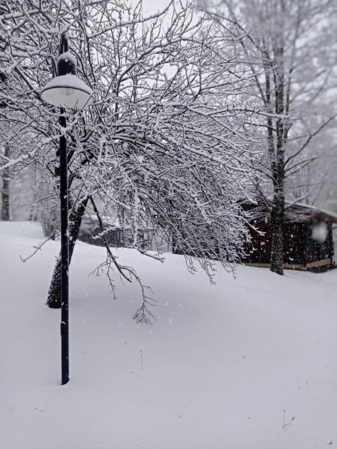 Chalet Fragolina Capanne di Sillano Buitenkant foto